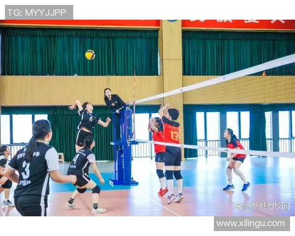 南京排球队在全国排球比赛经验排行榜中荣获第十名的荣耀时刻