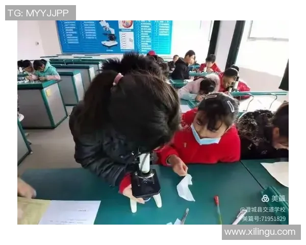 探索足球玩教具的多样化应用与儿童运动能力提升之道