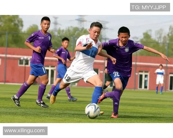 足球FCP的辉煌历程与未来展望：从青训到职业联赛的成功之路